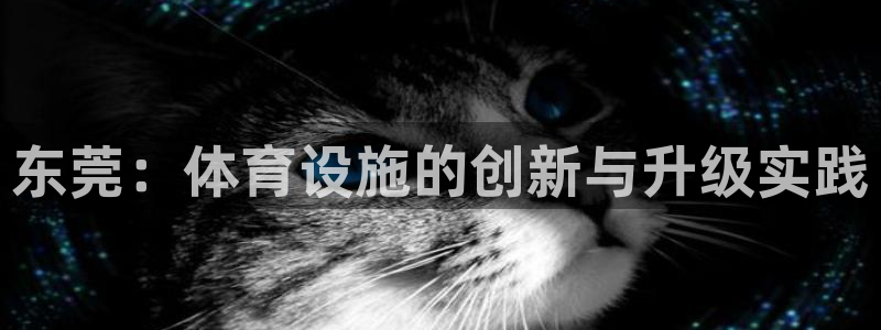 意昂5(KGAME)体育招商：东莞：体育设施的创新与升级实践