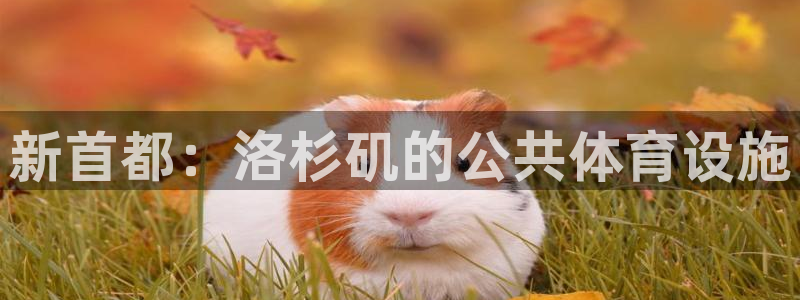 意昂5(KGAME)体育招商电话是多少号码：新首都：洛杉矶的