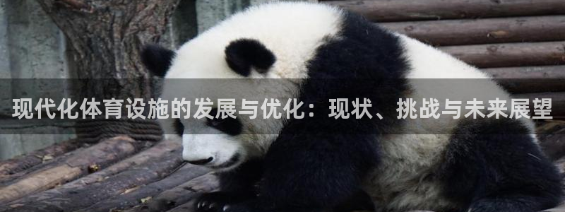 意昂集团官网：现代化体育设施的发展与优化：现状、挑战与未来展