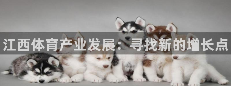 意昂5(KGAME)体育平台假的吗是真的吗：江西体育产业发展 