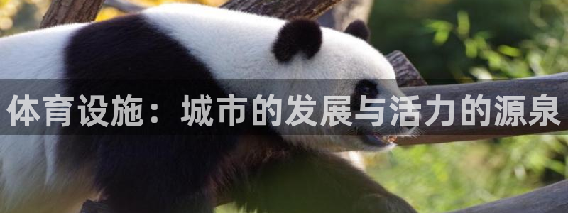 意昂5(KGAME)体育招商电话地址：体育设施：城市的发展与