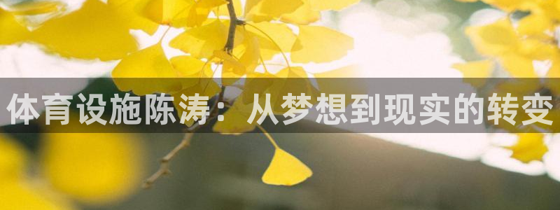 意昂5(KGAME)体育平台假的吗是真的吗吗：体育设施陈涛： 