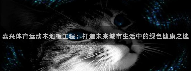 球客岛