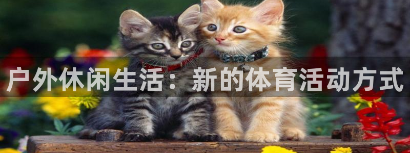 球客岛