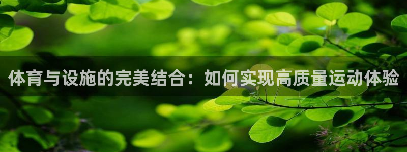 意昂5(KGAME)集团简介：体育与设施的完美结合：