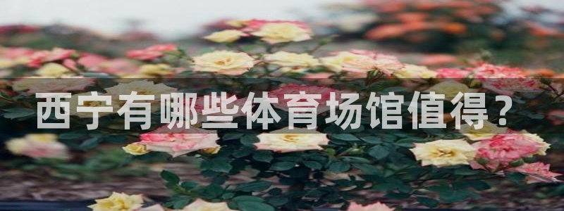 意昂5(KGAME)娱乐首页官网下载：西宁有哪些体育