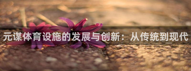 意昂5(KGAME)集团官网网址：元谋体育设施的发展