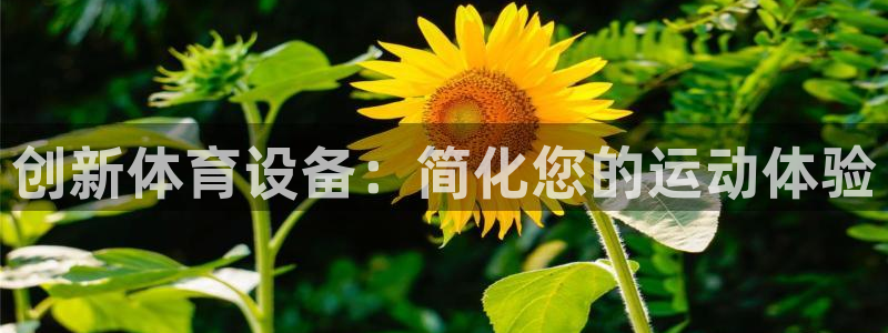 意昂5(KGAME)体育平台是正规平台吗知乎：创新体