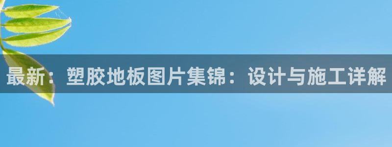 意昂5(KGAME)体育联系电话：最新：塑胶地板图片集锦：设